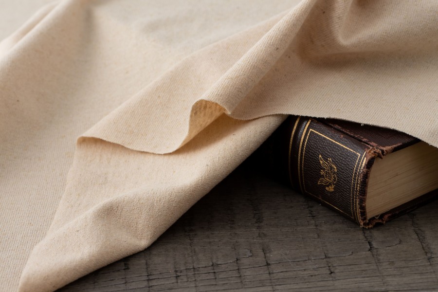 Tシャツなどのカットソーにおすすめ。